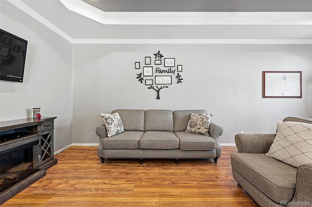 6231 Indian Paintbrush St Unit 214, Frederick, CO 80530 - living area with light wood-style floors, crown molding, a raised ceiling, and baseboards