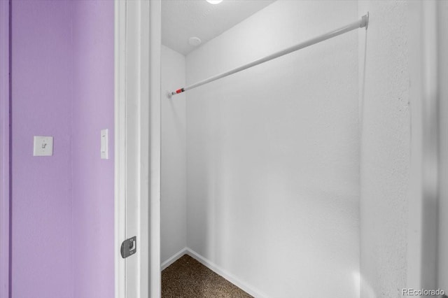 walk in closet with carpet floors