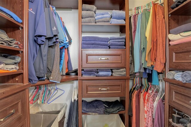 view of walk in closet