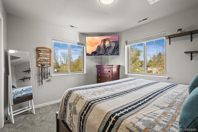 4942 Grove St, Denver, CO 80221 - bedroom featuring carpet, baseboards, and visible vents