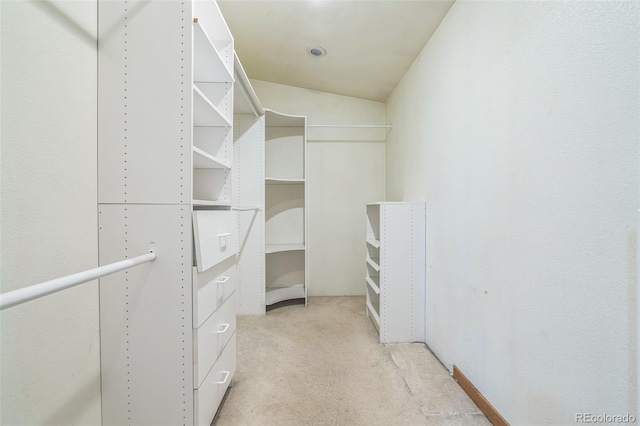 18 Clover Cir, Colorado Springs, CO 80906 - walk in closet featuring light colored carpet