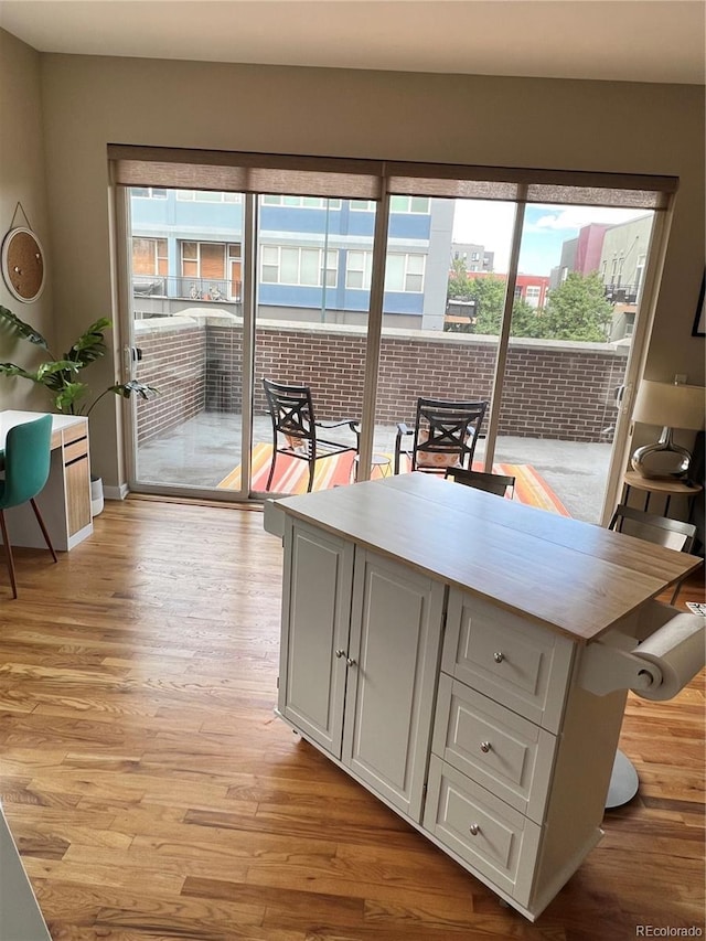 1441 Central Unit 305, Denver, CO 80211 - kitchen featuring light wood-style floors and light countertops