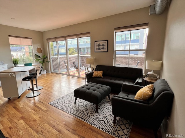 1441 Central Unit 305, Denver, CO 80211 - living area featuring light wood-type flooring