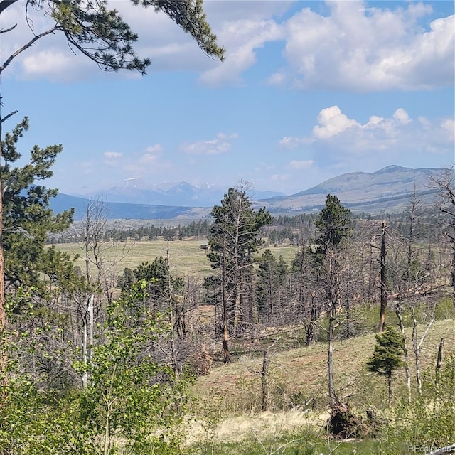 1034 Van Fossan Ln, Fort Garland, CO 81133 - view of mountain backdrop