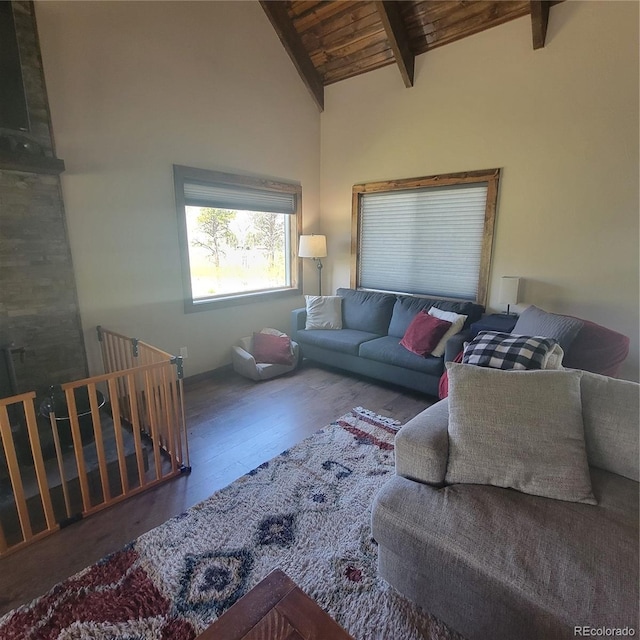 1034 Van Fossan Ln, Fort Garland, CO 81133 - living area featuring wood finished floors, high vaulted ceiling, and wood ceiling with exposed beams