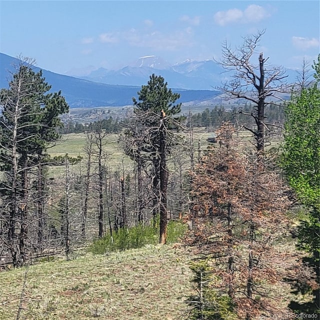 1034 Van Fossan Ln, Fort Garland, CO 81133 - mountain view
