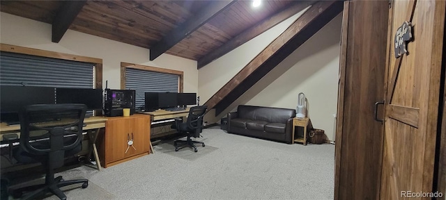 1034 Van Fossan Ln, Fort Garland, CO 81133 - office space featuring light carpet and wood ceiling