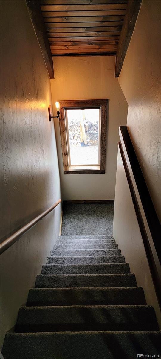 1034 Van Fossan Ln, Fort Garland, CO 81133 - photo 22