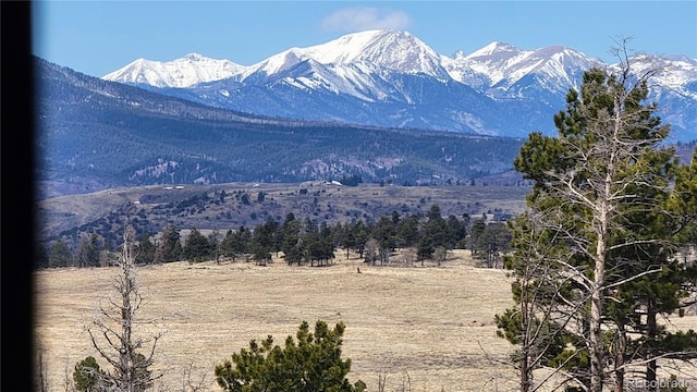 1034 Van Fossan Ln, Fort Garland, CO 81133 - photo 23