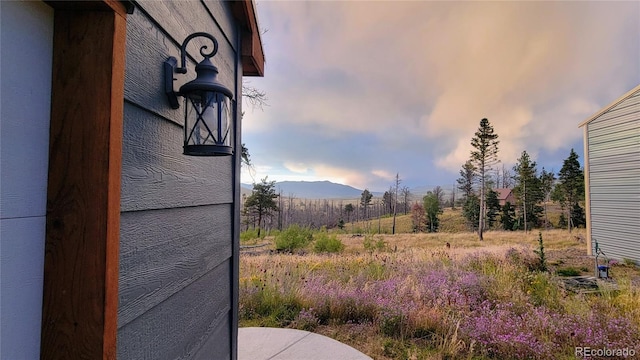 1034 Van Fossan Ln, Fort Garland, CO 81133 - photo 8