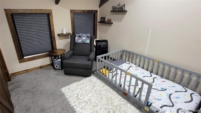 1034 Van Fossan Ln, Fort Garland, CO 81133 - photo 24