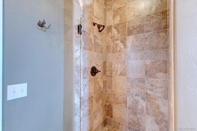121 M And M Ln Unit 6C, Salida, CO 81201 - interior details with a stall shower