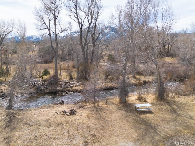121 M And M Ln Unit 6C, Salida, CO 81201 - view of yard