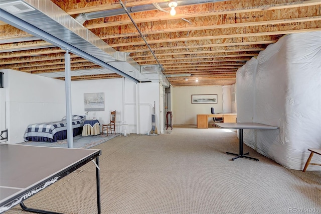 below grade area with carpet floors