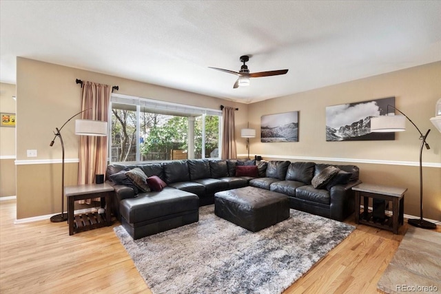 420 Graham Cir, Erie, CO 80516 - photo 6