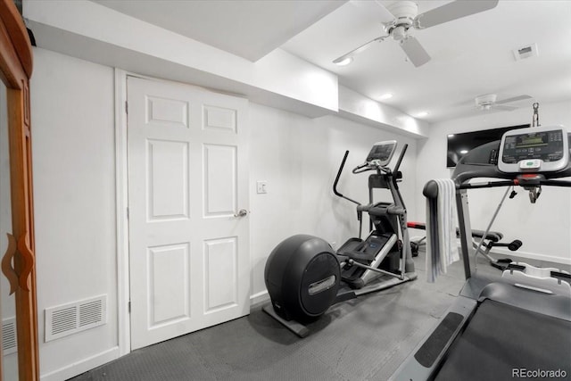420 Graham Cir, Erie, CO 80516 - photo 16