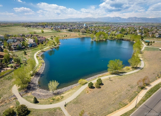 420 Graham Cir, Erie, CO 80516 - photo 46