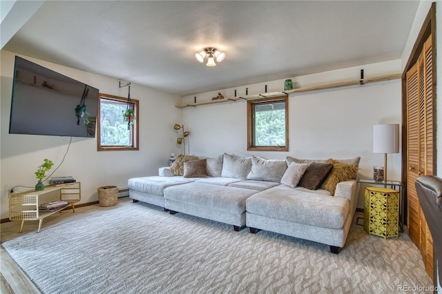 living room featuring light hardwood / wood-style floors