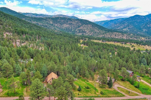 birds eye view of property featuring a mountain view