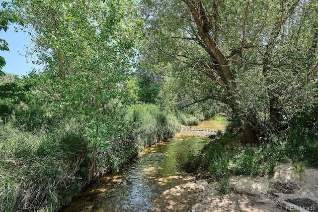 5250 S Huron Way Unit 5-308, Littleton, CO 80120 - view of nature