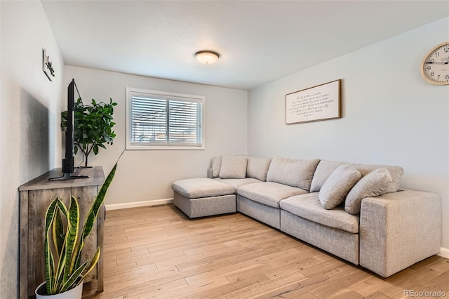 living room with light hardwood / wood-style flooring