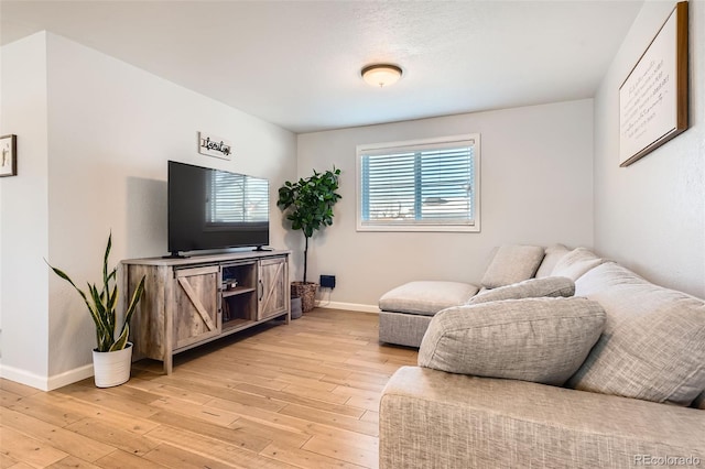 living room featuring light hardwood / wood-style flooring