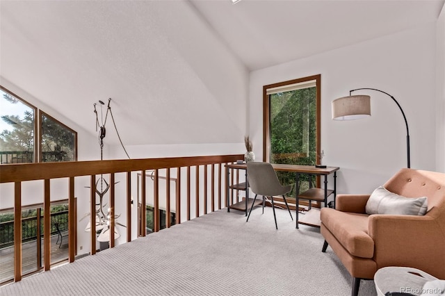 20223 Goins Dr, Morrison, CO 80465 - sitting room featuring carpet floors and lofted ceiling