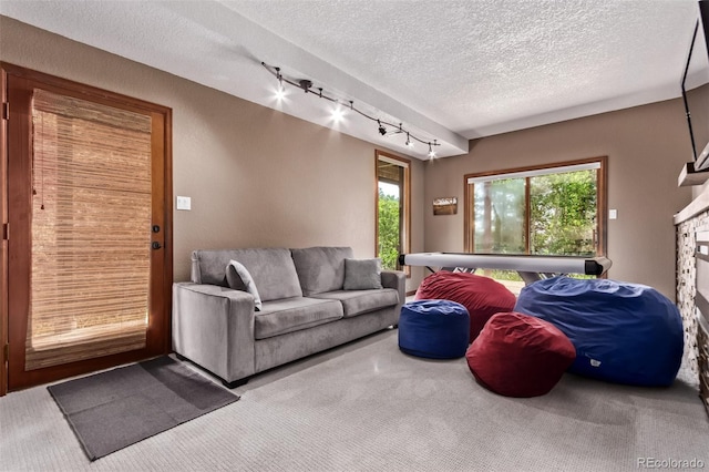 20223 Goins Dr, Morrison, CO 80465 - living area with rail lighting, carpet flooring, a textured ceiling, and a stone fireplace