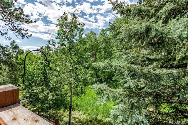 20223 Goins Dr, Morrison, CO 80465 - view of woods
