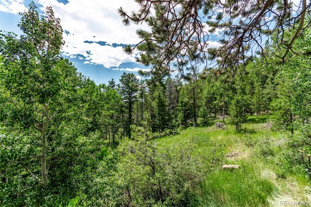 20223 Goins Dr, Morrison, CO 80465 - view of wooded area