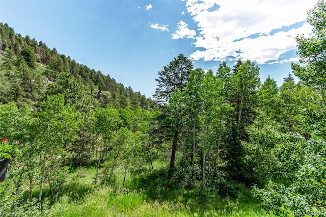 20223 Goins Dr, Morrison, CO 80465 - view of woods