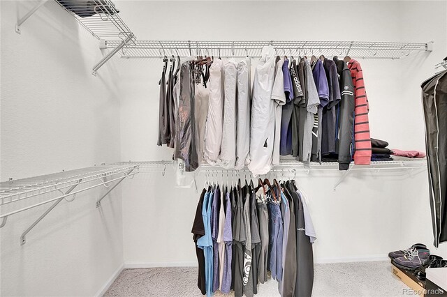 3437 Rosato Dr Unit C, Highlands Ranch, CO 80126 - walk in closet with carpet floors