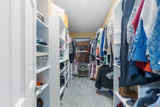 walk in closet featuring carpet flooring