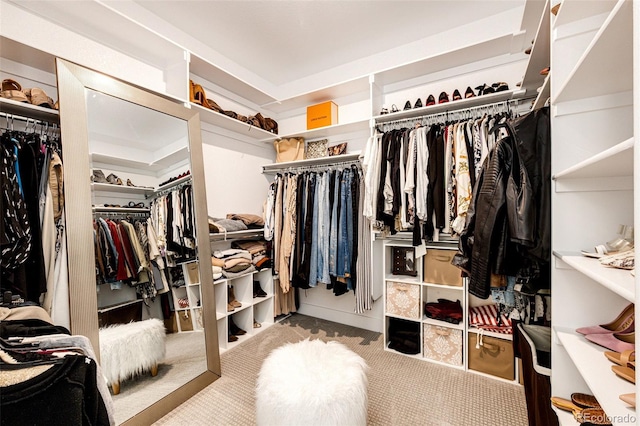 spacious closet with carpet floors