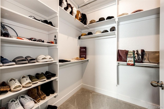 walk in closet featuring carpet flooring