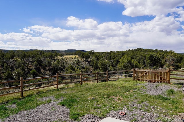 view of yard featuring a rural view