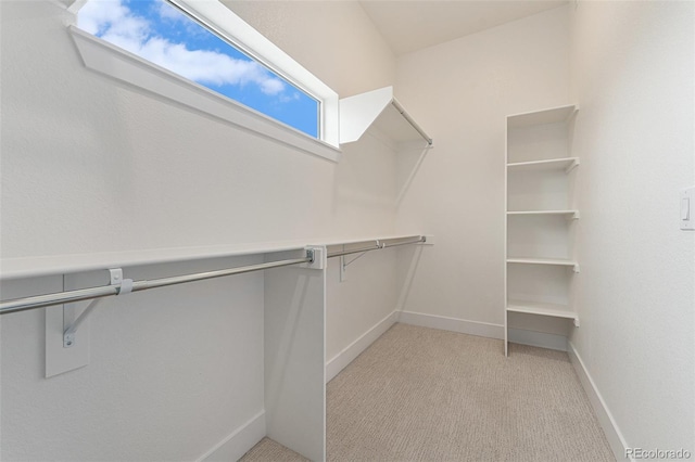 5256 Flora Way, Arvada, CO 80002 - photo 12