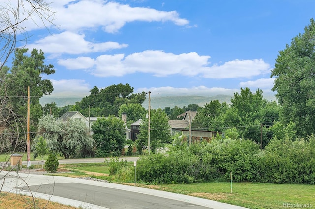 5256 Flora Way, Arvada, CO 80002 - photo 29