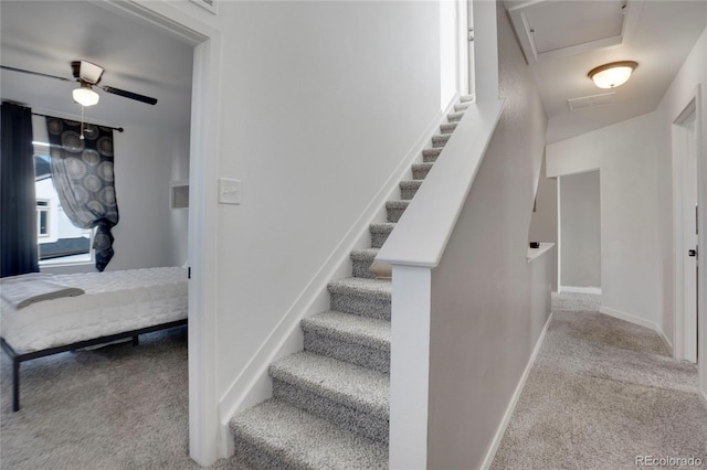 17838 E 54 Th Ave, Denver, CO 80249 - photo 21