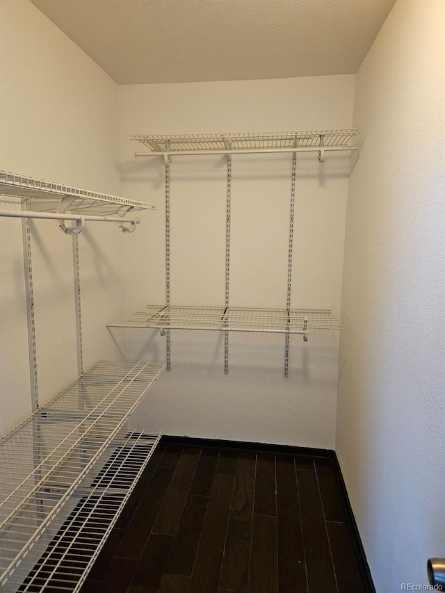 walk in closet featuring dark wood-type flooring