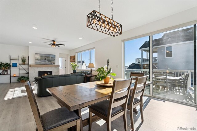 dining room featuring recessed lighting, wood finished floors, and a tile fireplace