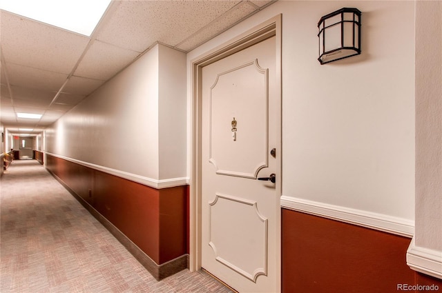 hallway with baseboards, a drop ceiling, and carpet flooring