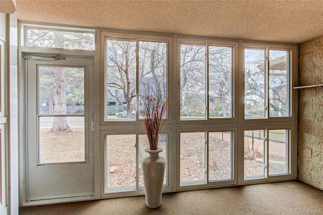 doorway featuring carpet and a textured ceiling