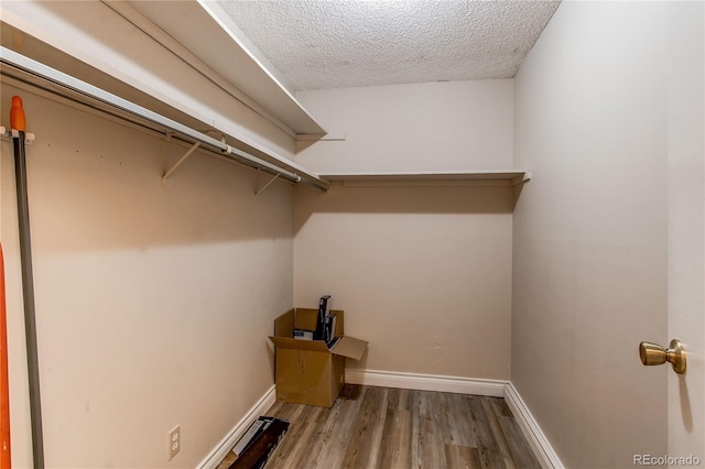 spacious closet featuring wood finished floors