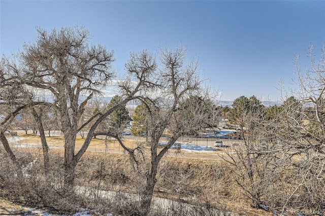 view of local wilderness