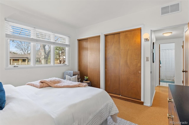 1420 E Bates Ave, Englewood, CO 80113 - bedroom featuring visible vents, two closets, and light carpet
