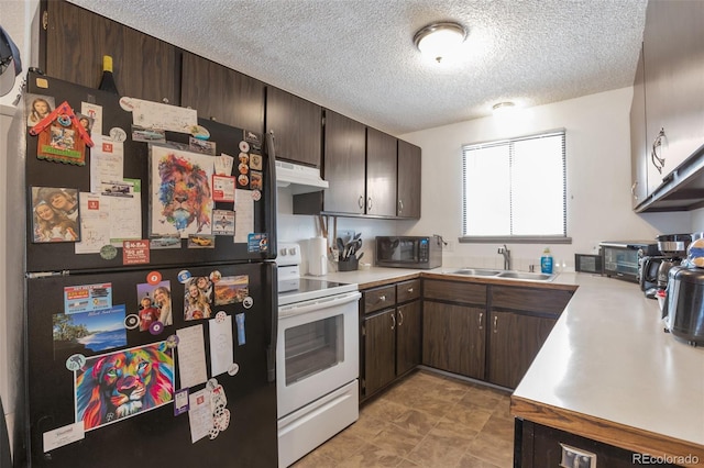 3609 Butternut Dr, Loveland, CO 80538 - photo 8