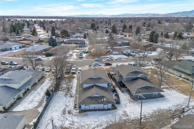 3609 Butternut Dr, Loveland, CO 80538 - photo 19