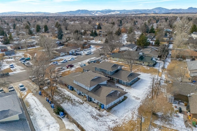3609 Butternut Dr, Loveland, CO 80538 - photo 20