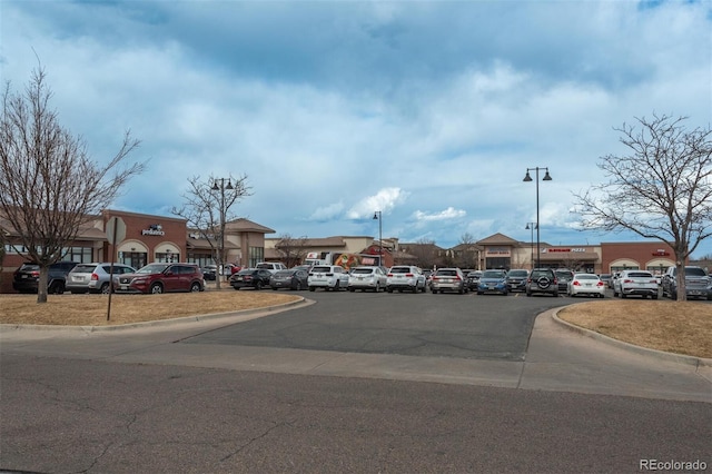 view of street with curbs